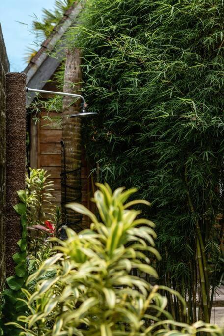 The Padang Villa Jungle Escape 5 Mins Drive From Uluwatu'S Beaches Exterior photo